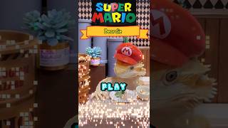 Beardie’s Super Mario Compilation beardeddragon cute lizard funnyvideo beardeddragonlife [upl. by Weisman]