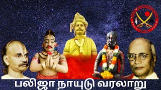 பலிஜா நாயுடு வரலாறு  balija naidu caste history in tamil [upl. by Kirre]