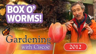 BOX O’ WORMS Tips to Make Your Own Compost  Gardening With Ciscoe  Full Episode [upl. by Barolet]