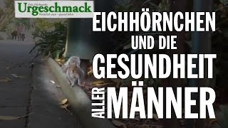 Eichhörnchen und die Gesundheit aller Männer [upl. by Hettie]