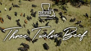 Crawfish Tales—Three Twelve Beef [upl. by Neemsay645]