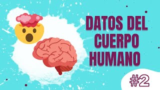 11 Curiosidades del CEREBRO 🤔😱🧠 [upl. by Pippas]