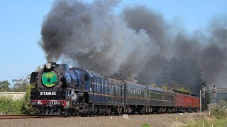 Steamrail Victoria’s Gippslander Tour with R711 and R761 [upl. by Attennyl]