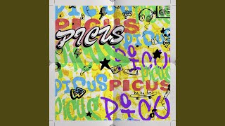 PICUS [upl. by Irovi]