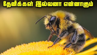 தேனீக்கள் இல்லாத உலகம் அழியுமா   World without Bees [upl. by Spense]