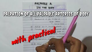 Palpation of all palpable Arteries of Body [upl. by Anehsuc]