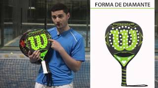 Tipos de palas de padel  Curso pádel iniciación [upl. by Quinlan45]