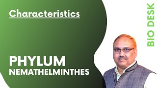 Phylum Nemathelminthes  General Characteristics [upl. by Servetnick117]