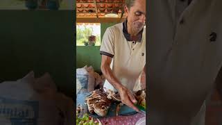 Salada com peixe assado na grelha sitiolagoverde [upl. by Ahsad21]