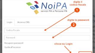 NoiPa cedolino febbraio 2017 è online Login password area riservata [upl. by Hayalat747]