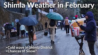 Shimla Vlog  Shimla in February  Shimla Weather  Snowfall update Shimla [upl. by Nyar]