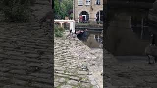 A walk around Hebden Bridge hebdenbridge travel vlog summer [upl. by Valtin]