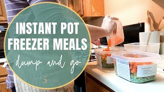 Batch Cooking Freezer Meals  Easy Instant Pot Recipes  Dump and Go Recipes  Cook With Me [upl. by Gino270]