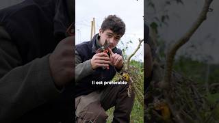 Arracher ou couper les pieds de légumes  🌱 jardin potager potagerpermaculture [upl. by Pisarik]