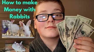 The 5 Best Ways to MAKE MONEY with RABBITS in 2024 [upl. by Drisko32]