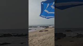 arambolbeach arambol goatravel goavibes beachlife relaxing travelgoa peace beautiful 😍 [upl. by Jamaal]