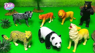 100 Safari Wild Animals Zoo Animals Lion Zebra Tiger Elephant Horse Peacock Cheetah Leopard [upl. by Tamra]