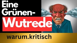 Die Wutrede eines Grünen für deinen schönen Sonntag [upl. by Haelahk862]