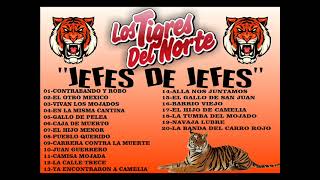 LOS TIGRES DEL NORTELOS JEFES DE JEFES [upl. by Aidnyl]