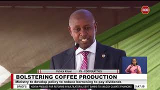 Gov’t to pump KSh 1 billion to double production of coffee seedlings [upl. by Britney]