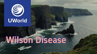 Wilson Disease vs Hemochromatosis vs Porphyria UWorld Notes USMLE USMLE Step 1 [upl. by Odicalp26]