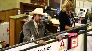 The Best Auctioneer  Rhett Parks [upl. by Belford]