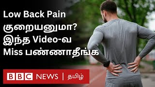 Low Back Pain கீழ் முதுகு வலி எதனால் ஏற்படுகிறது வலி தீர்வதற்கு வழி என்ன  Explained [upl. by Valle551]