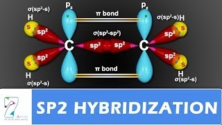 SP2 Hybridization [upl. by Gian96]