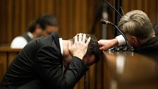 Neighbour Describes How Oscar Pistorius Tried To Save Girlfriend Reeva Steenkamp Day Four [upl. by Thirion]