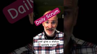 Talk About The Stories At Daily Scrum agile scrummaster [upl. by Emrich127]