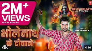 video BHOLENATH KE DEEWANE  Latest Bhojpuri Kanwar Bhajan 2024  Ritesh Pandey  TSeries dance [upl. by Ydisahc149]