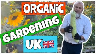 VISIT IN A UK🇬🇧 ALLOTMENT  ORGANIC VEGETABLE GARDENING  2023 [upl. by Elakram]