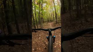 Whipper Snapper mtb allatoonacreek [upl. by Rolfe]