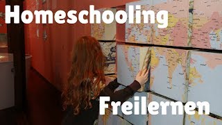 Freilernen  Warum unser Sohn nicht in die Schule muss [upl. by Anahsal104]