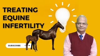 Uncovering the Mystery Behind Equine Infertility Veterinary Gynecology in Action [upl. by Ytinav]