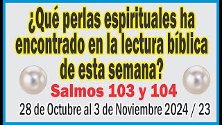 quotBuscando PERLAS ESCONDIDAS Lecciones y Respuestas 28 de Octubre al 3 de Noviembre 2024 [upl. by Tomkin]