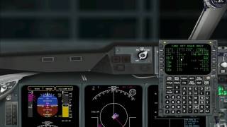 PMDG Md11 full tutorial part1 [upl. by Nosreme135]