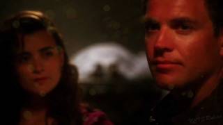 NCIS Tony amp Ziva  Every Breath [upl. by Bornstein704]