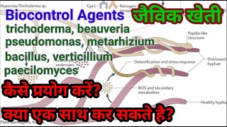 193 जैविक खेती में जैव नियंत्रण उत्पादों का सही प्रयोग कैसे करें। How to use Biocontrol agents [upl. by Neitsirhc646]