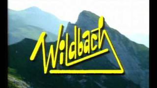 Wildbach Themesong  Stan Bush  Free and Easy [upl. by Akinohs]