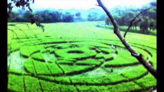 Indonesia crop circles  Sleman Yogyakarta  UFO [upl. by Eceerahs969]