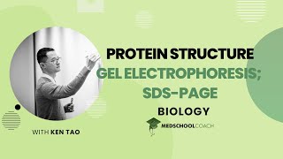 Gel Electrophoresis and SDSPAGE [upl. by Templer]