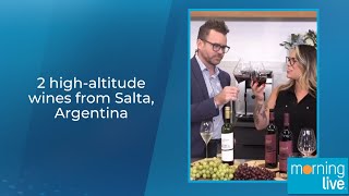 2 highaltitude wines from Salta Argentina [upl. by Airpal]