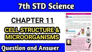 cell structure and microorganisms class 7 questions and answers  chapter 11  maharashtra board [upl. by Arhoz]