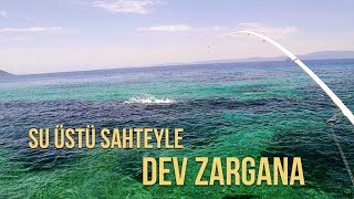 DEV ZARGANA AVI  Suüstü sahteyle  Houndfish on topwater Live Strike [upl. by Neyuq916]