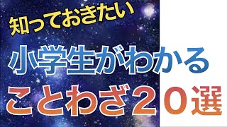 【ことわざ20選】4分で小学生でもわかる意味 [upl. by Theone]