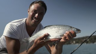 Renkenfischen am schönen Attersee [upl. by Eldrida]