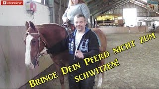 Bringe Dein Pferd nicht zum schwitzen [upl. by Ellehsad]