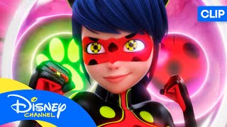 LAS AVENTURAS DE LADYBUG ¡Ladybug detectada 🐞  disneychannelES [upl. by Alihet]