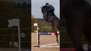 Lesson with Ros Canter [upl. by Acinorev]